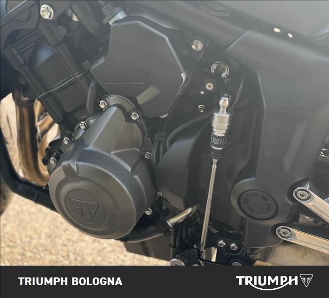 TRIUMPH Tiger Sport 660 Abs