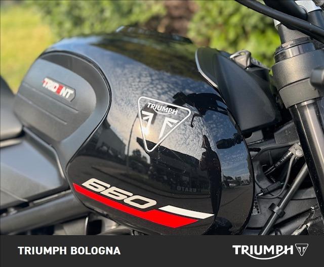 TRIUMPH Tiger Sport 660 Abs