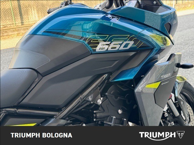 TRIUMPH Tiger Sport 660 Abs