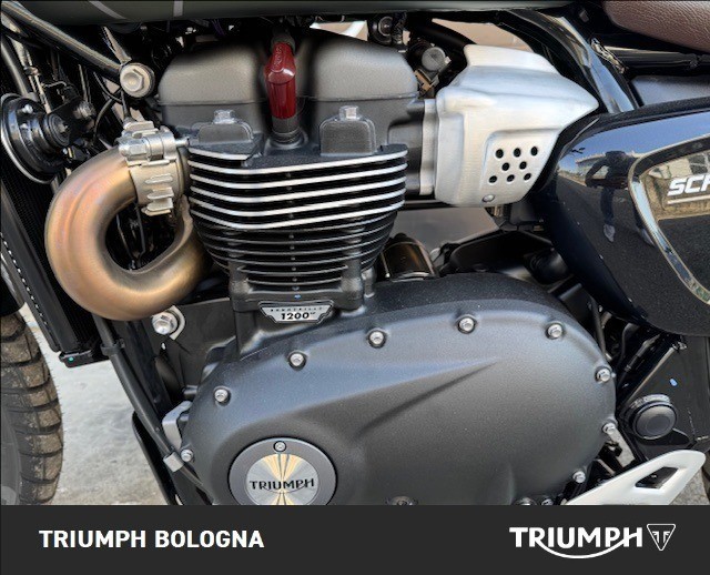 TRIUMPH Scrambler 1200 X Abs