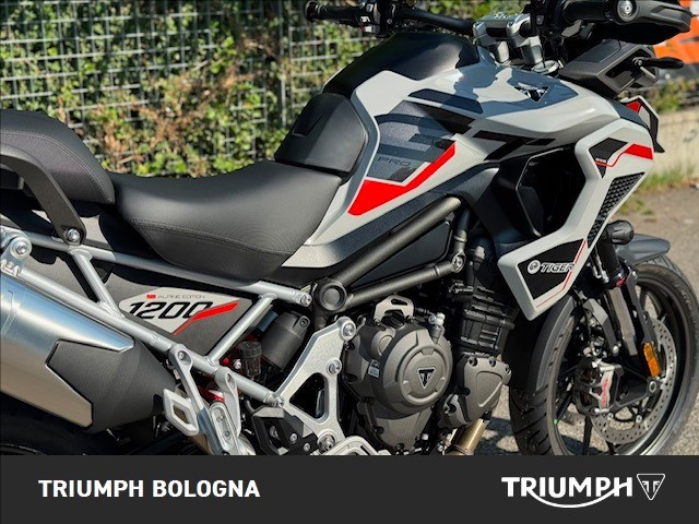 TRIUMPH Tiger 1200 Alpine Edition
