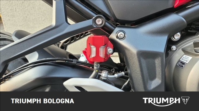 TRIUMPH Trident 800 Ash Grey Abs